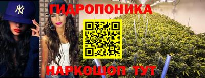 a pvp Бузулук