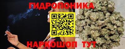 a pvp Бузулук